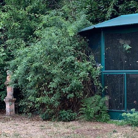 Maisonnette En Clairiere De Foret Gambais Ngoại thất bức ảnh