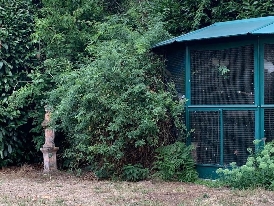 Maisonnette En Clairiere De Foret Gambais Ngoại thất bức ảnh