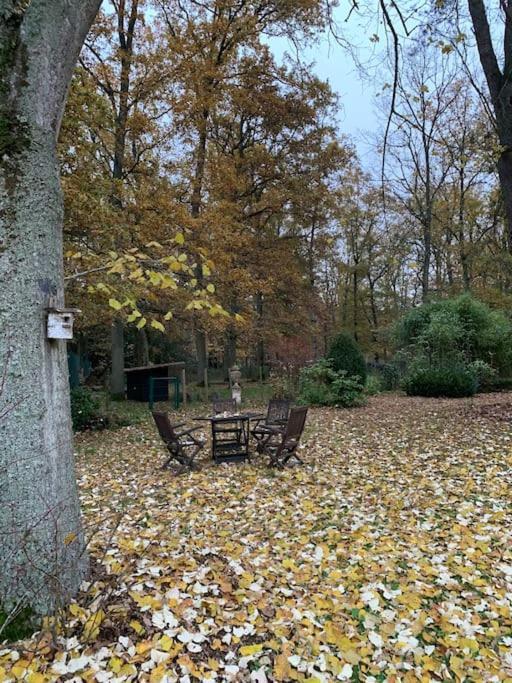Maisonnette En Clairiere De Foret Gambais Ngoại thất bức ảnh