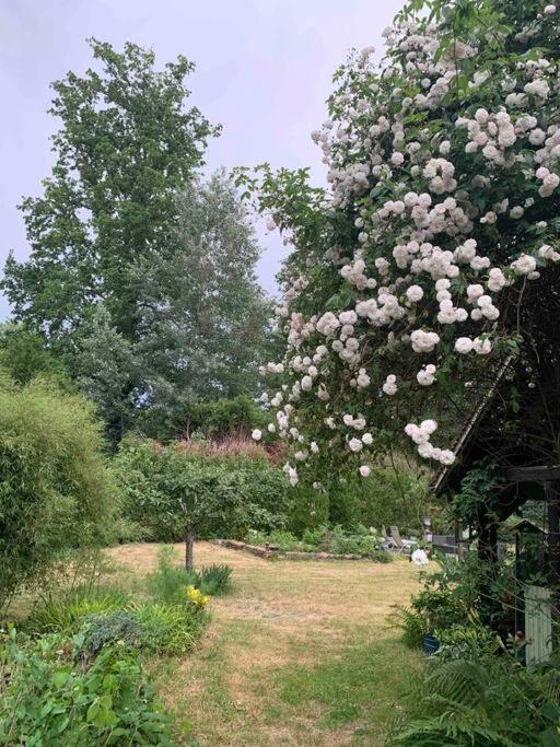 Maisonnette En Clairiere De Foret Gambais Ngoại thất bức ảnh