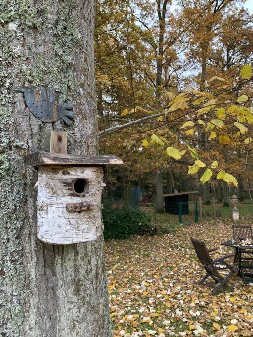 Maisonnette En Clairiere De Foret Gambais Ngoại thất bức ảnh