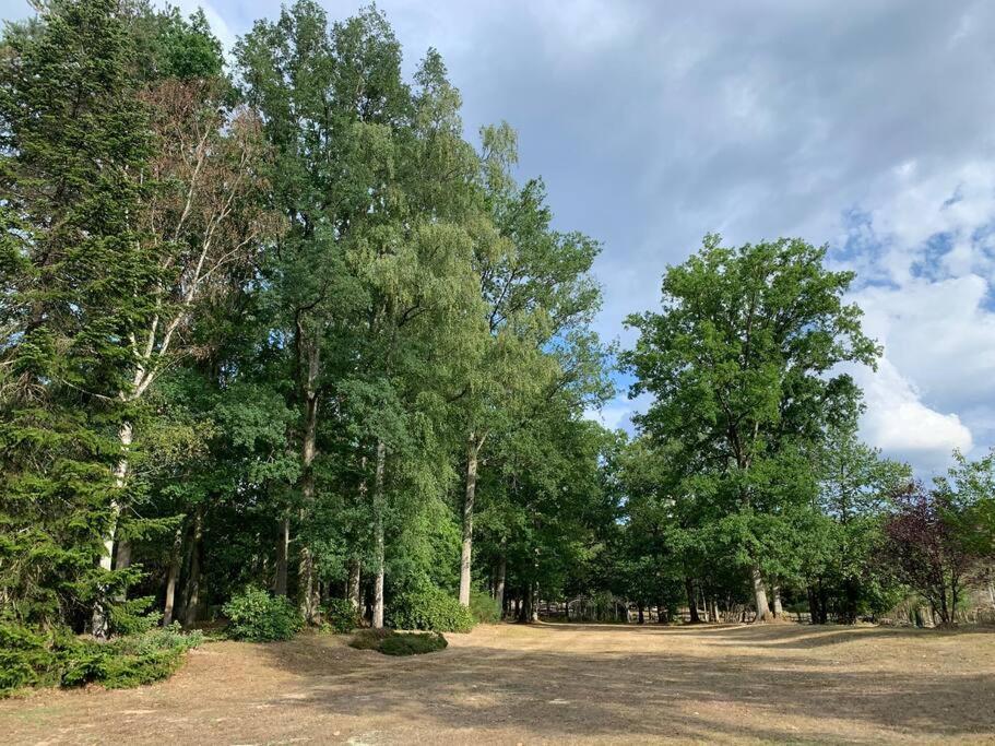 Maisonnette En Clairiere De Foret Gambais Ngoại thất bức ảnh